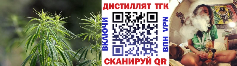 дарнет шоп  Невьянск  Дистиллят ТГК Wax 