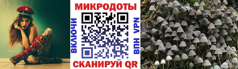 цена наркотик  Невьянск  Галлюциногенные грибы мицелий 